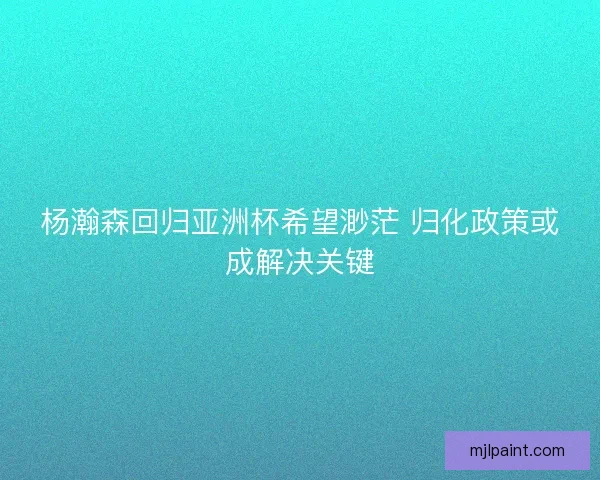 杨瀚森回归亚洲杯希望渺茫 归化政策或成解决关键