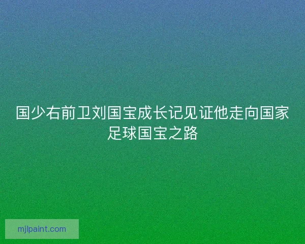 国少右前卫刘国宝成长记见证他走向国家足球国宝之路